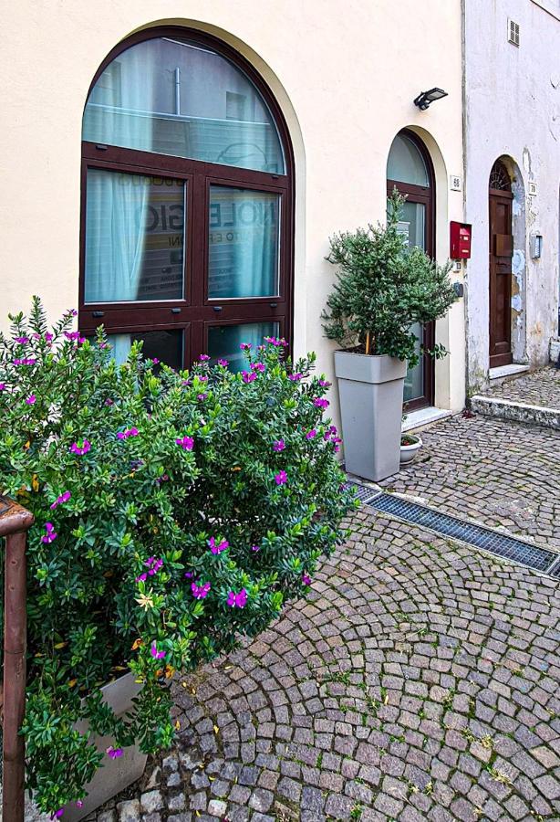 Ferienwohnung La Cialdina Ancona Exterior foto